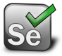 Selenium Training in Estonia
