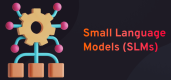 Small Language Models (SLMs)