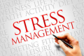 Stress Management Training in Estonia