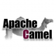 Apache Camel Training in Estonia