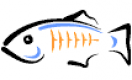 GlassFish Training in Estonia