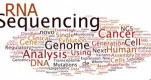 Microbial Genomics Training in Estonia
