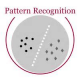 Pattern Recognition Training in Estonia
