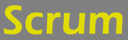 Scrum Training in Estonia