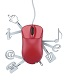 Web Services Training in Estonia